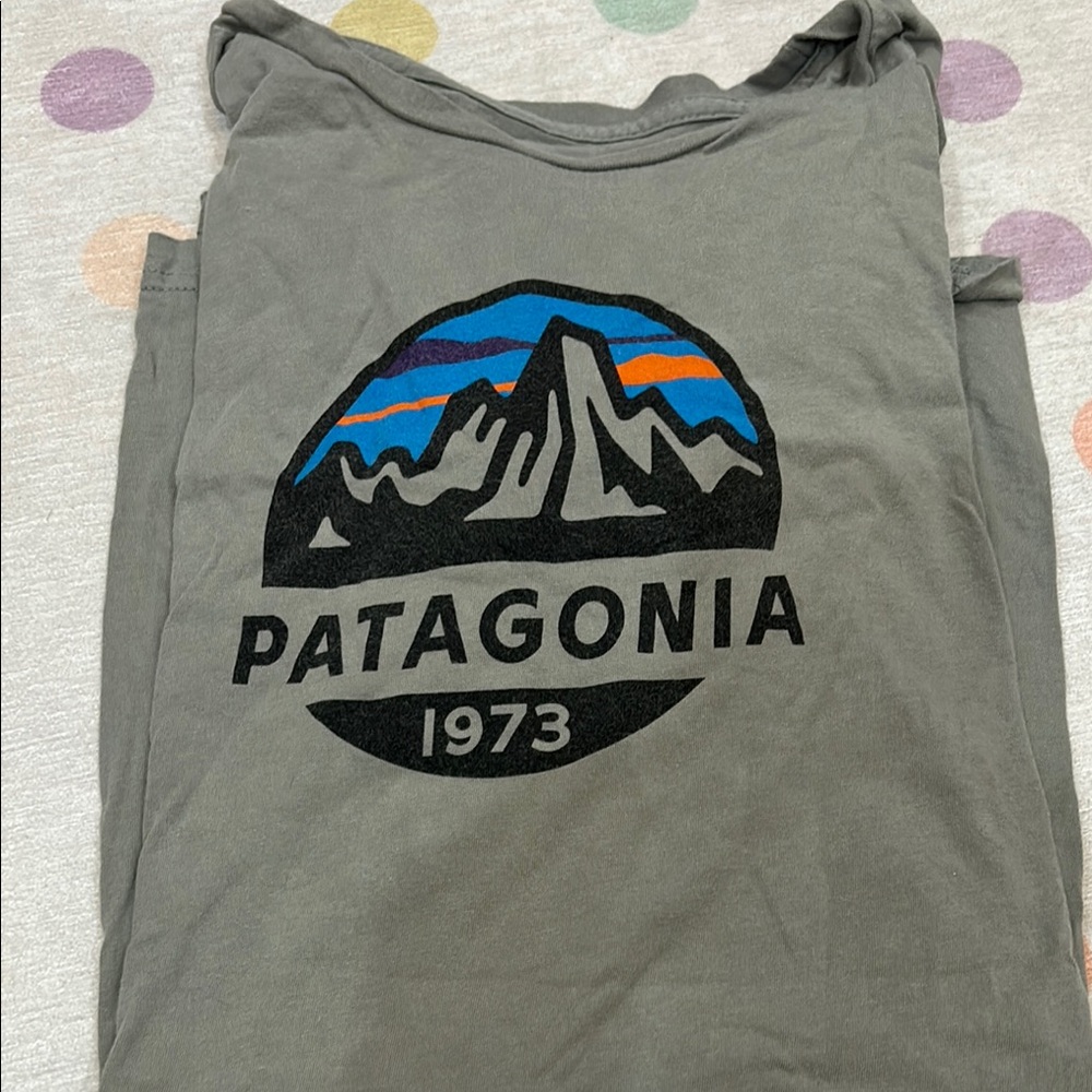 Patagonia Gray Graphic T-Shirt